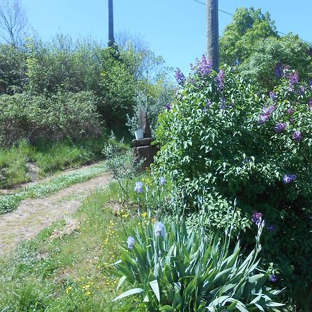 Gite Des Monts Saint-Izaire Exterior photo
