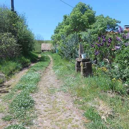 Gite Des Monts Saint-Izaire Exterior photo